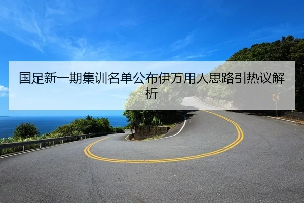 国足新一期集训名单公布伊万用人思路引热议解析